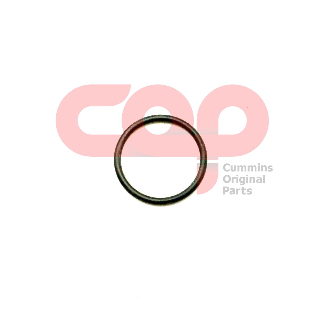 Кольцо уплотнительное Cummins B Series 3029847