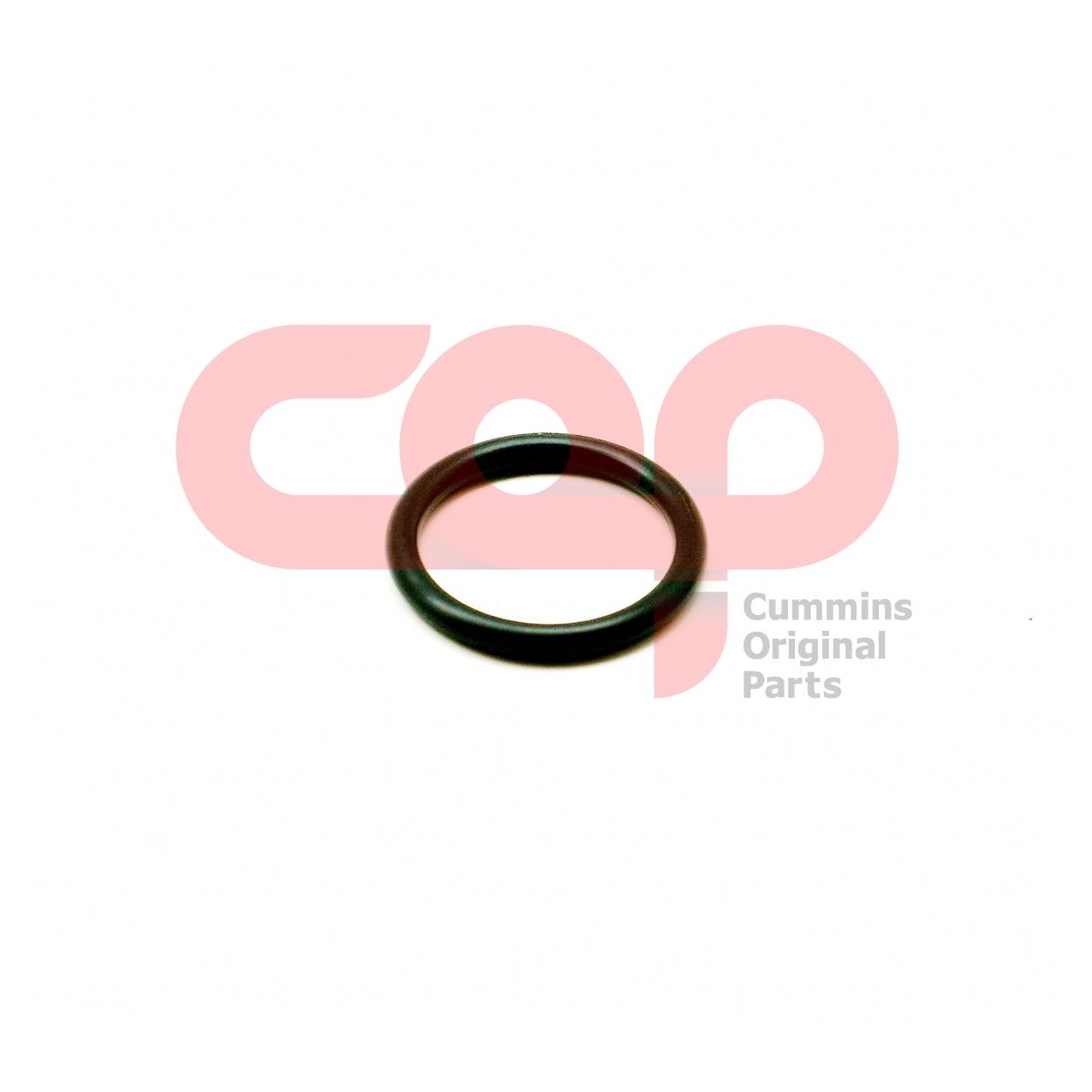 Кольцо уплотнительное Cummins B C L Series 4934085