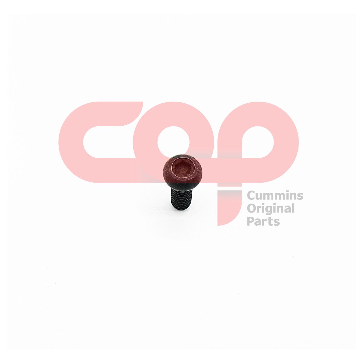 Болт крепления жгут проводов Cummins B Series C4937420 4937420 