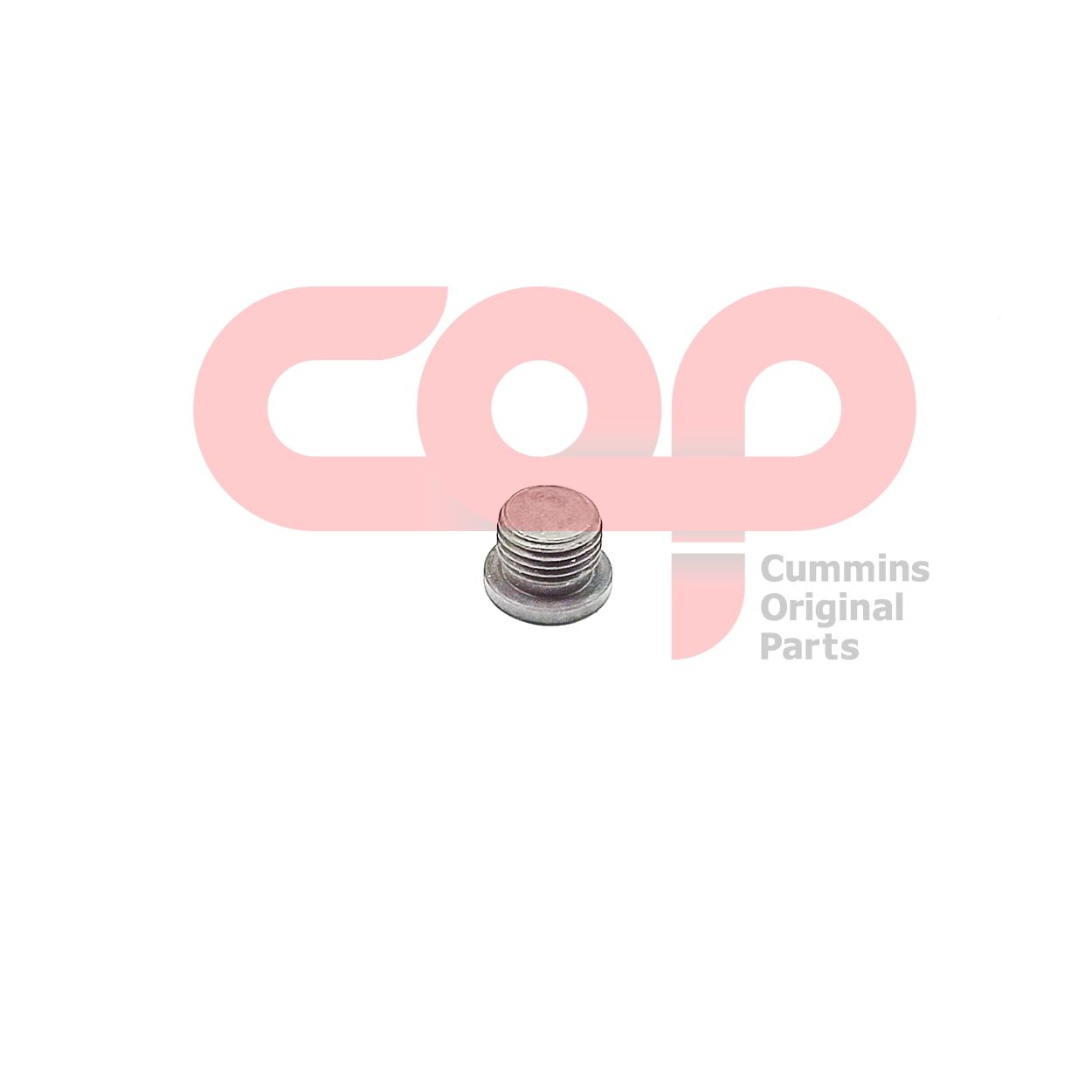 Резьбовая заглушка Cummins 3040813-20 3040813