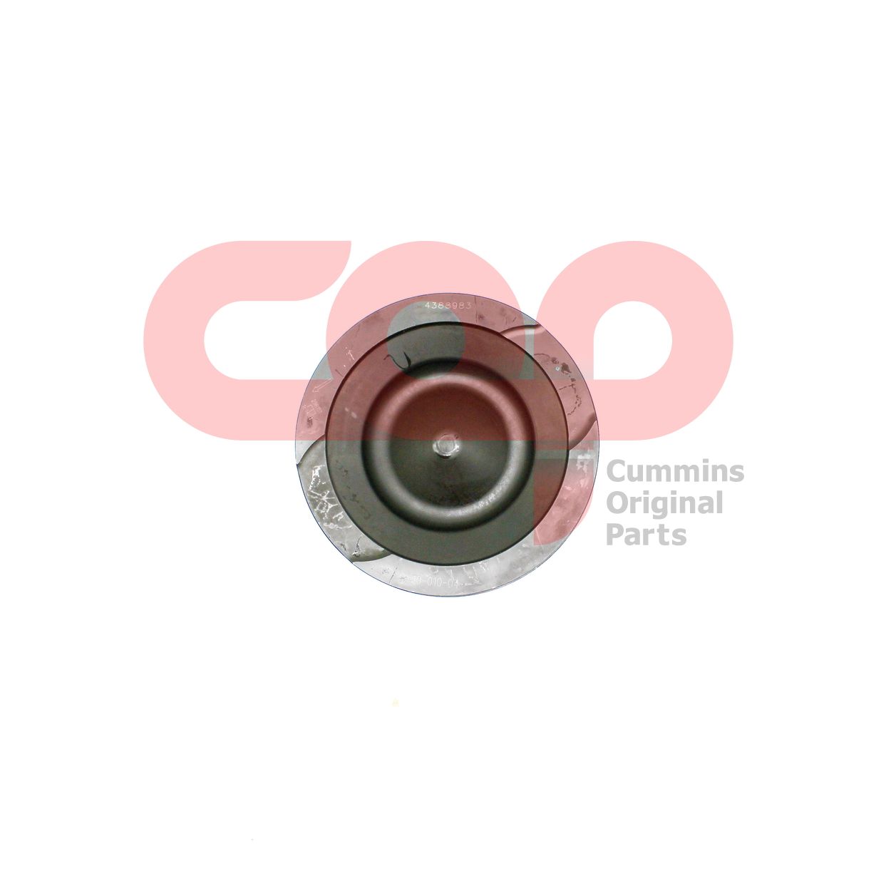 Поршень двигателя Cummins Z Series C4388983 4388983