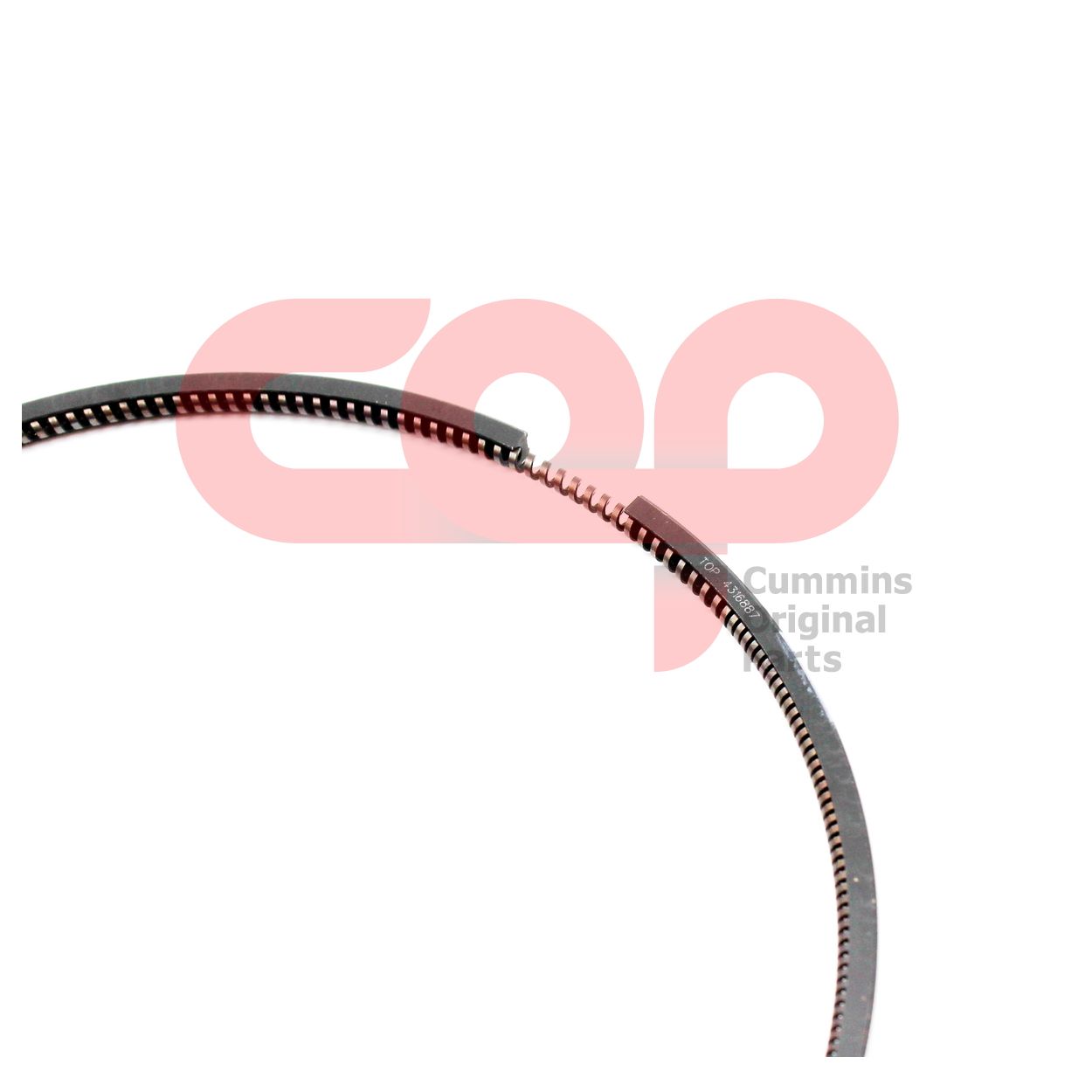 Кольцо поршневое маслосъёмное Cummins Z Series C4316887 4316887