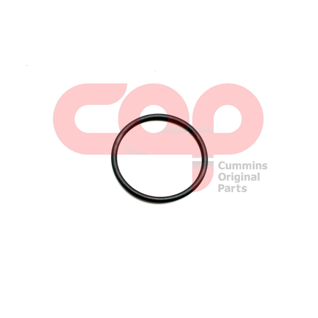 Кольцо уплотнительное Cummins B Series 3063166