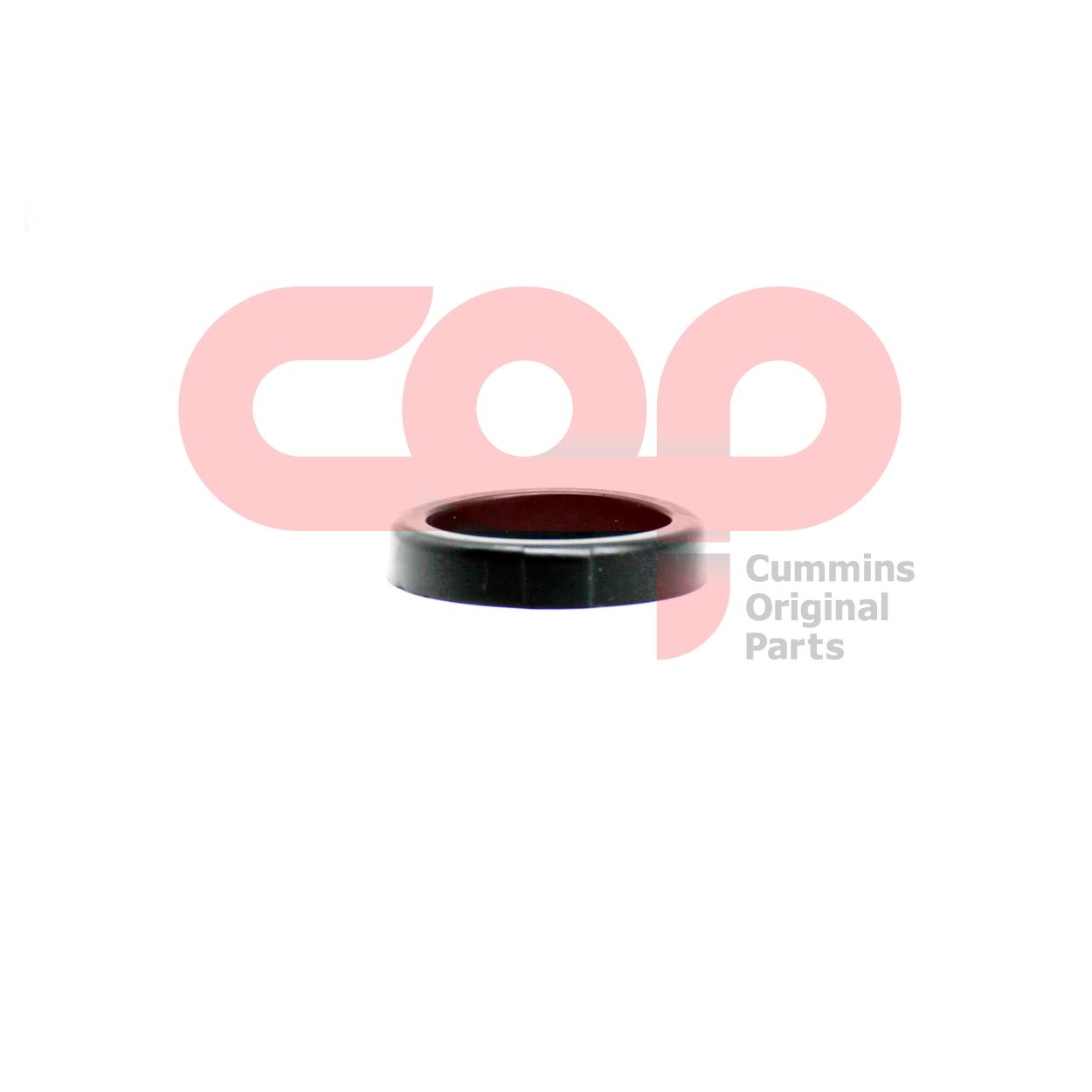 Прокладка крышки маслозаливной горловины для двигателя Cummins B Series 5255450 Дополнительный артикул 4895461