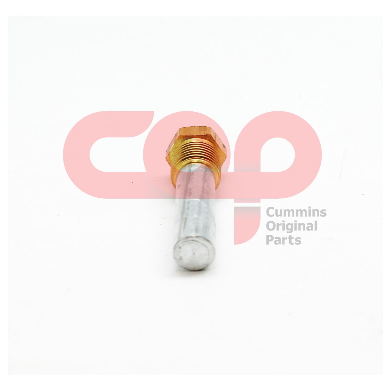Заглушка с электродом Cummins B Series 68241 131139