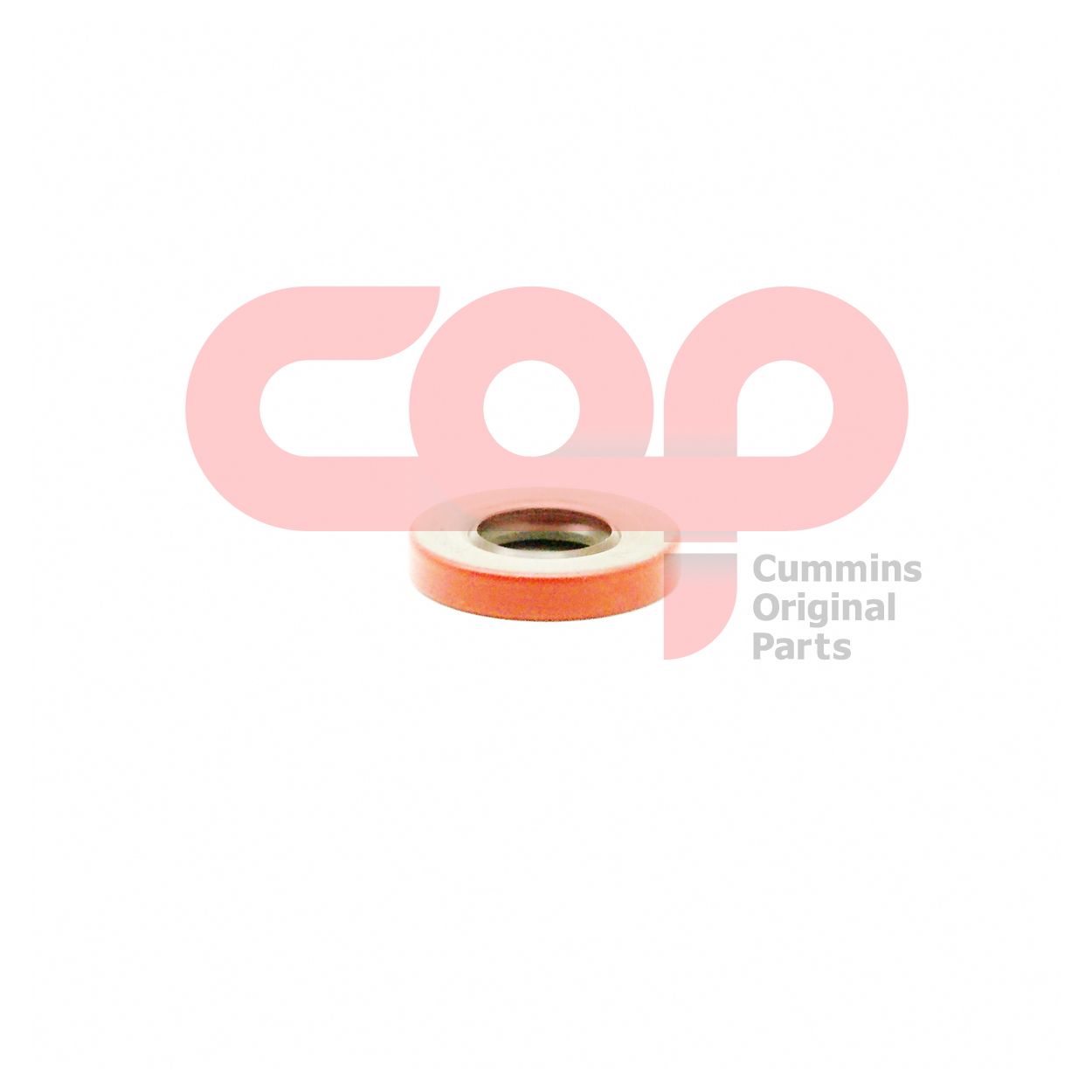 Сальник Cummins 206948