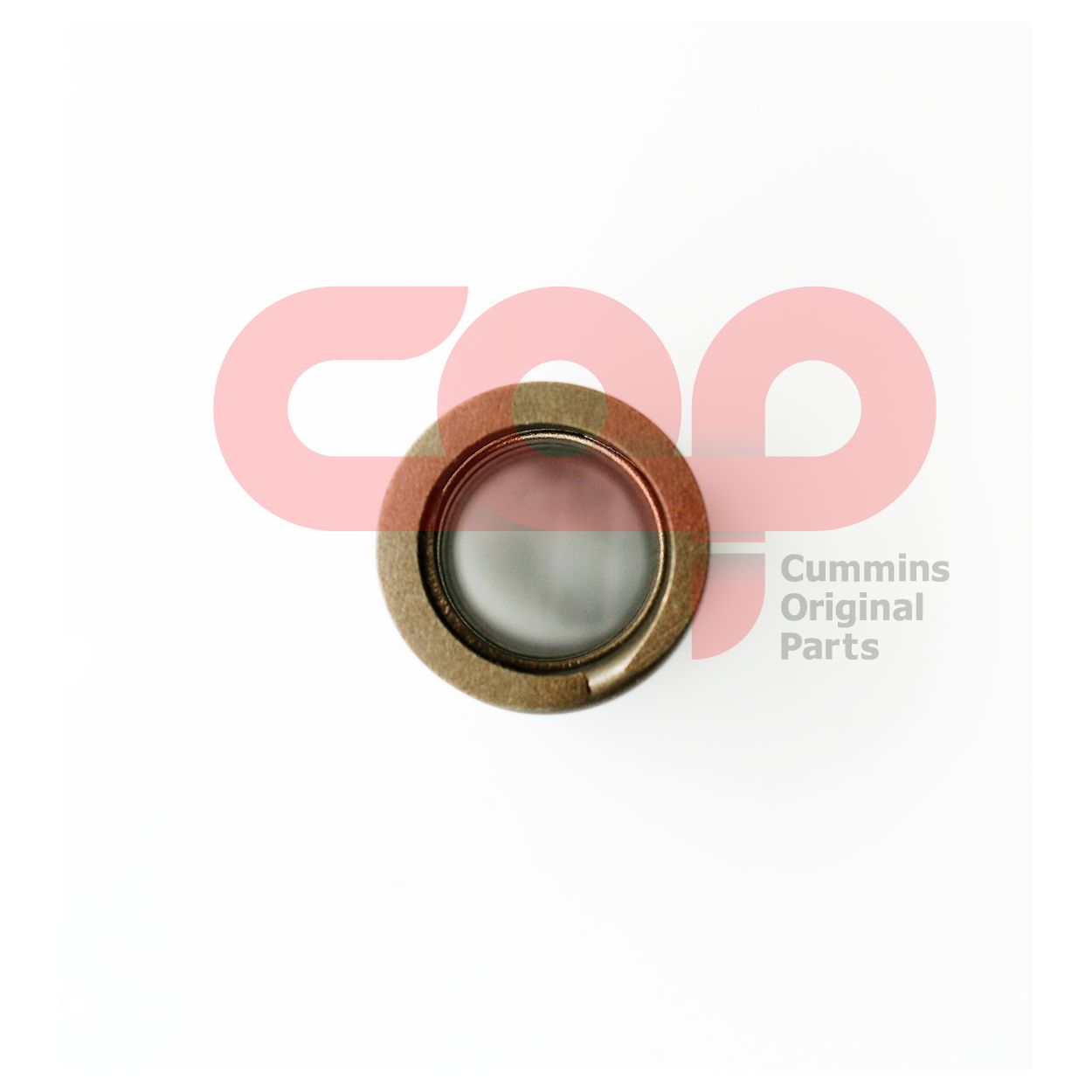 Пружина клапана Cummins C Series C3916588 3916588