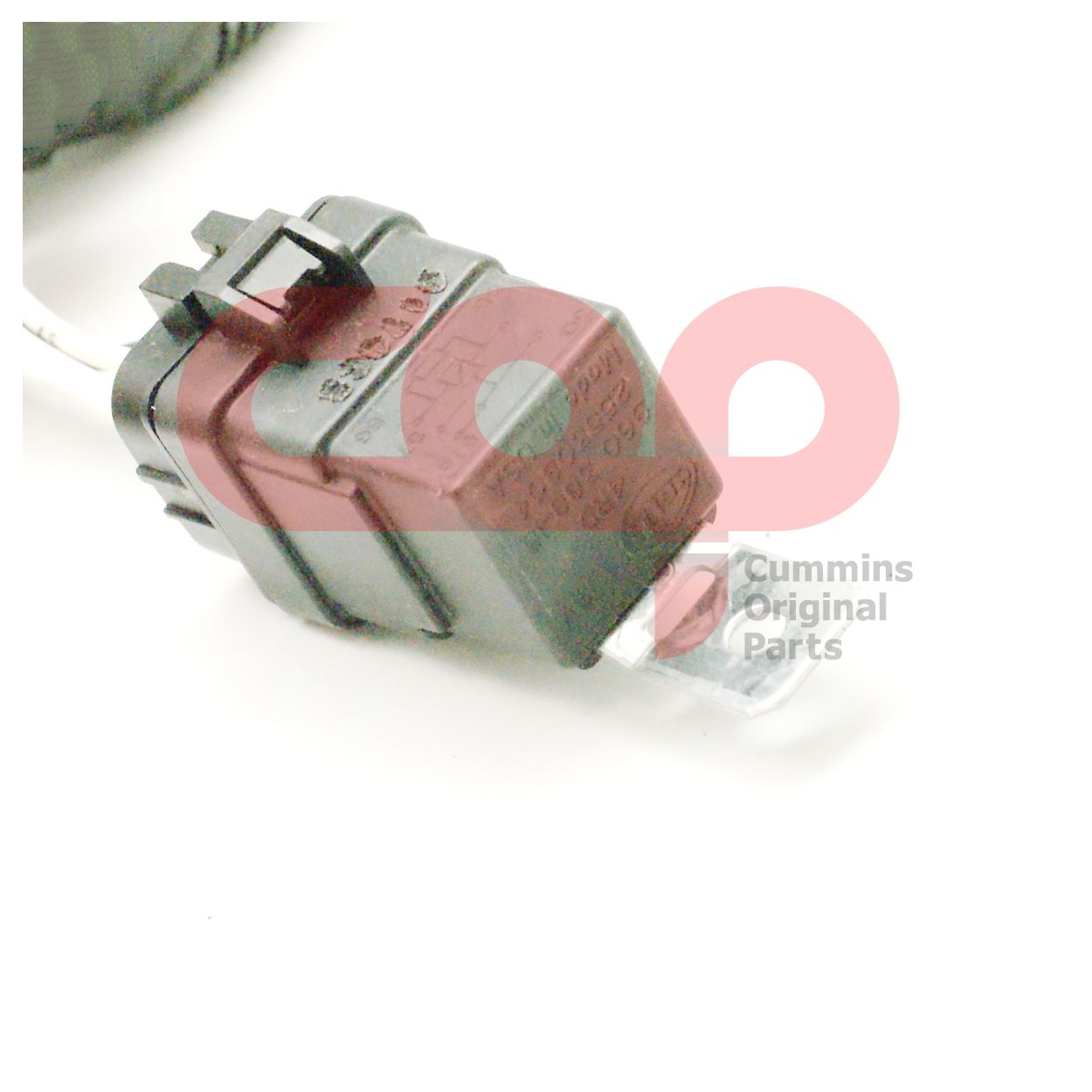 Жгут проводов Cummins B Series 3925583