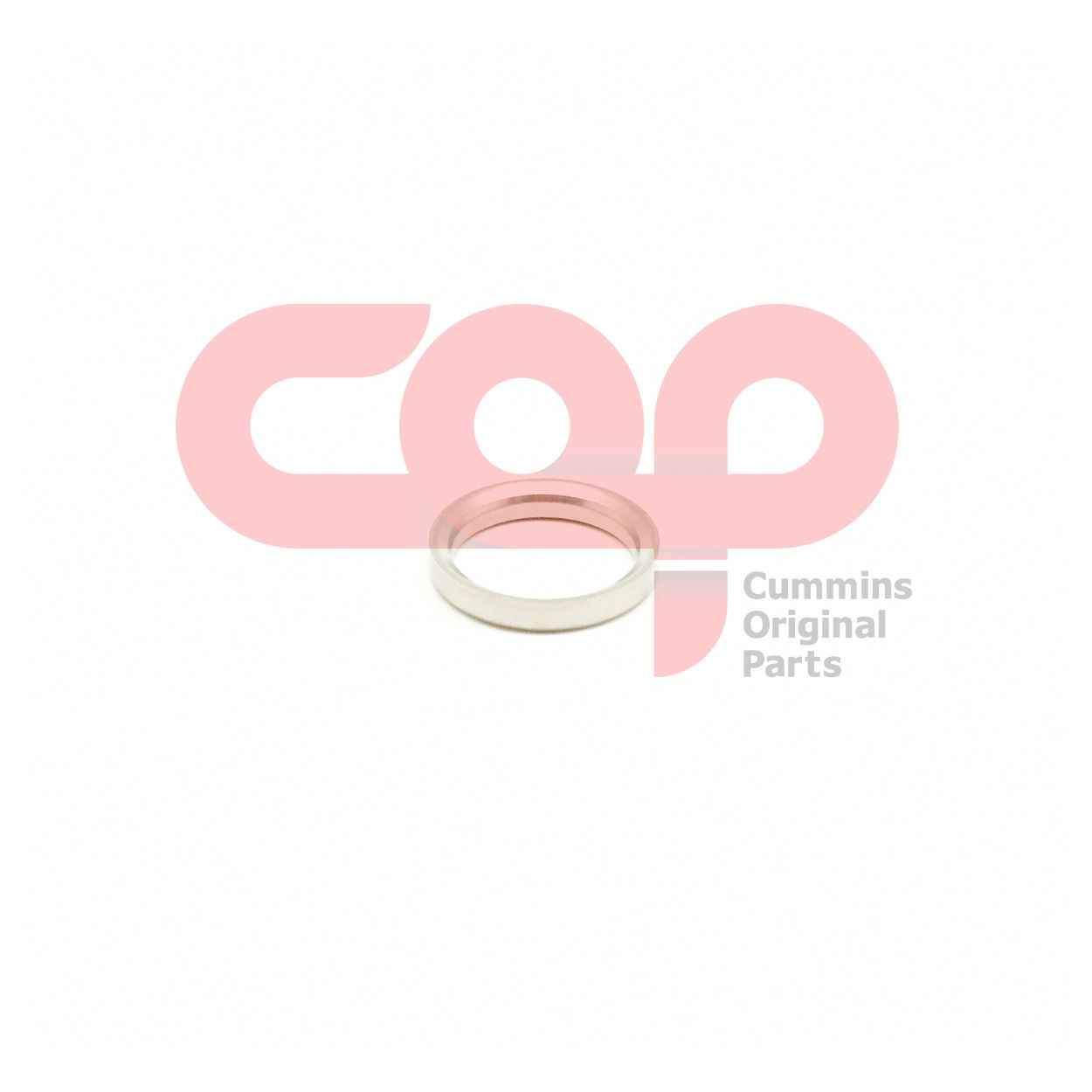 Седло впускного клапана для двигателя Cummins B Series 3939719