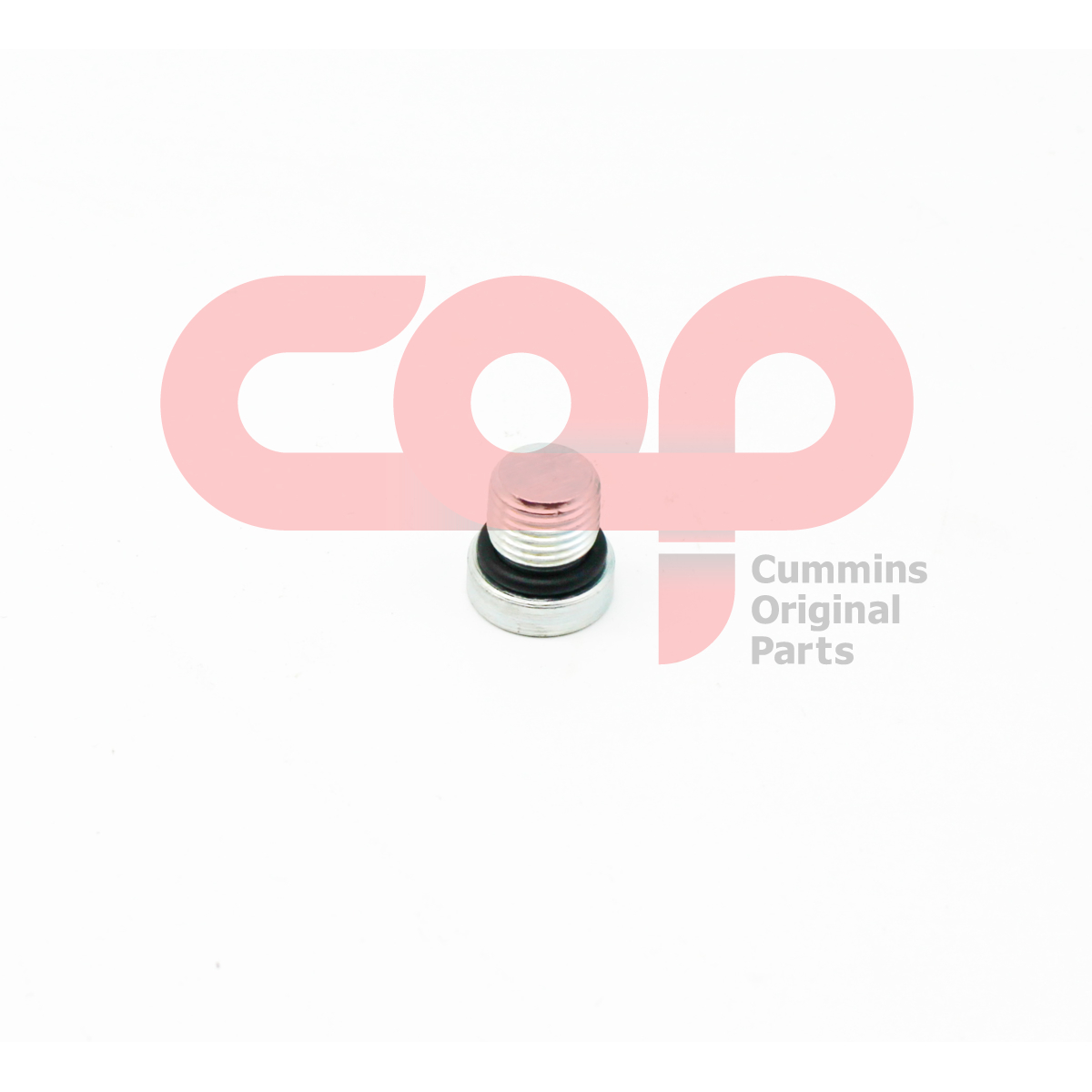 Заглушка с резьбой Cummins 4002056