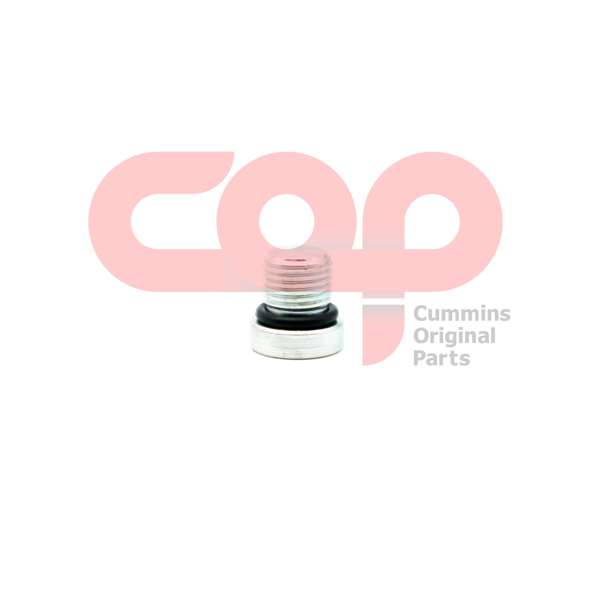 Заглушка с резьбой Cummins 4002056