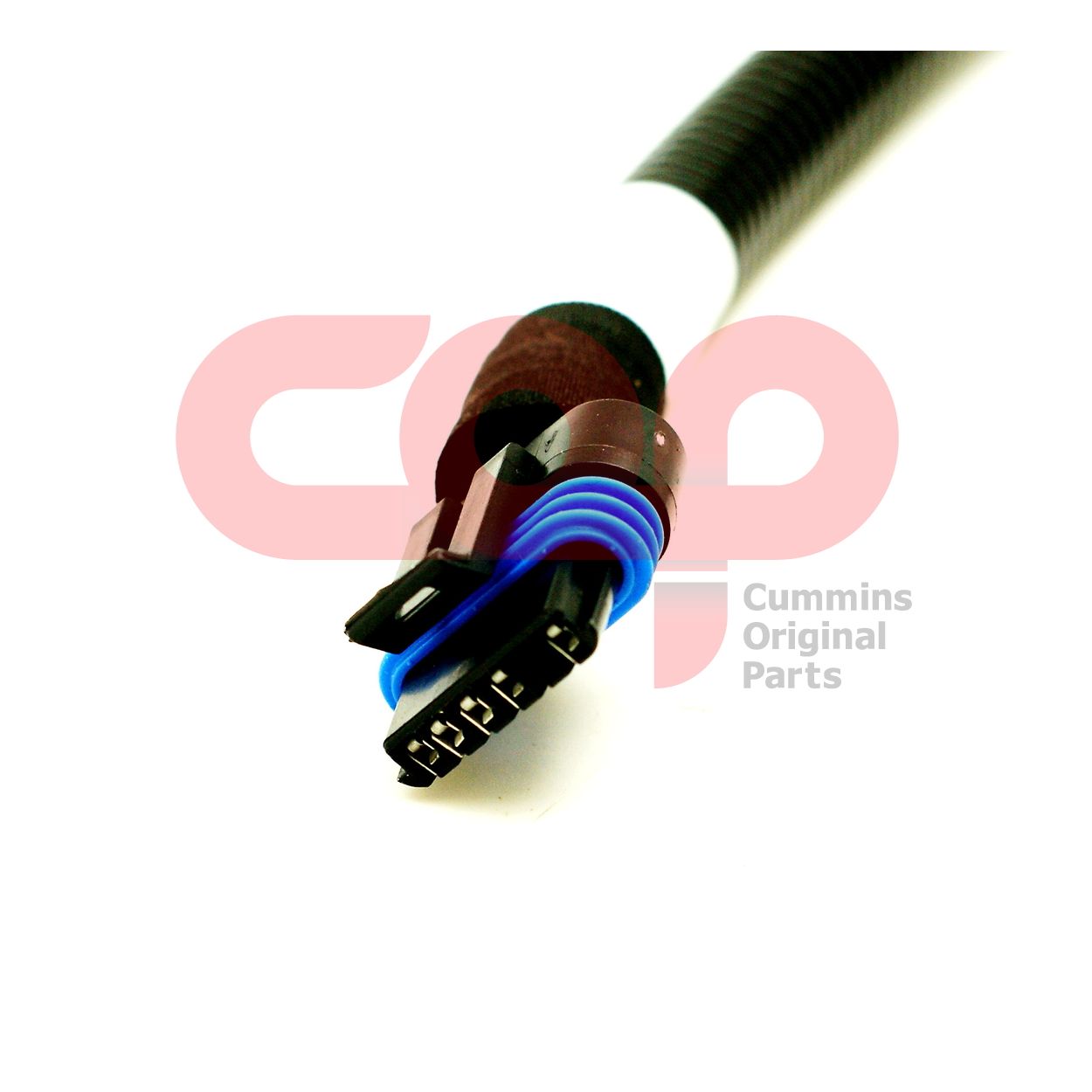 Жгут проводов Cummins B Series 5262959 4344966 5255558